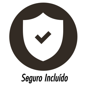 Seguro